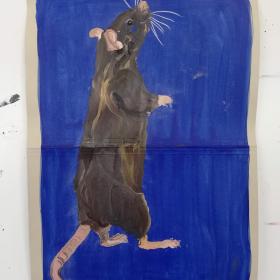 Rat, 2021, 48 × 31 cm, olie, acryl op archiefmap