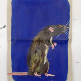 Rat, 2021, 48 × 31 cm, olie, acryl op archiefmap