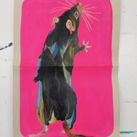 Rat, 2021, 48 × 31 cm, olie, acryl op archiefmap