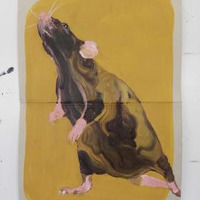 Rat, 2021, 48 × 31 cm, olie, acryl op archiefmap