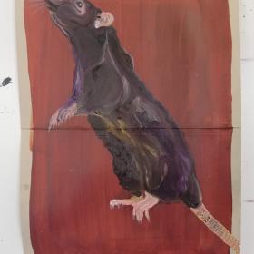 Rat, 2021, 48 × 31 cm, olie, acryl op archiefmap