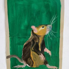 Rat, 2021, 48 × 31 cm, olie, acryl op archiefmap