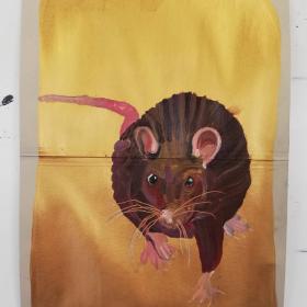 Rat, 2021, 48 × 31 cm, olie, acryl op archiefmap