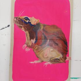 Rat, 2021, 48 × 31 cm, olie, acryl op archiefmap