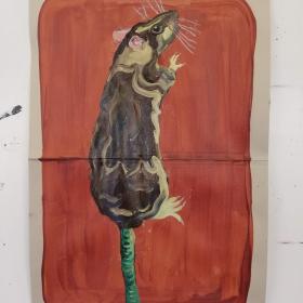 Rat, 2021, 48 × 31 cm, olie, acryl op archiefmap