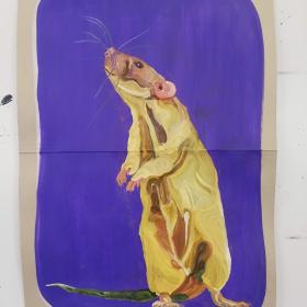 Rat, 2021, 48 × 31 cm, olie, acryl op archiefmap