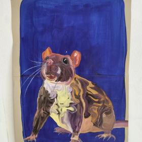 Rat, 2021, 48 × 31 cm, olie, acryl op archiefmap