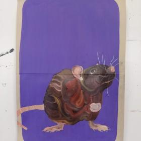 Rat, 2021, 48 × 31 cm, olie, acryl op archiefmap