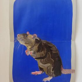 Rat, 2021, 48 × 31 cm, olie, acryl op archiefmap